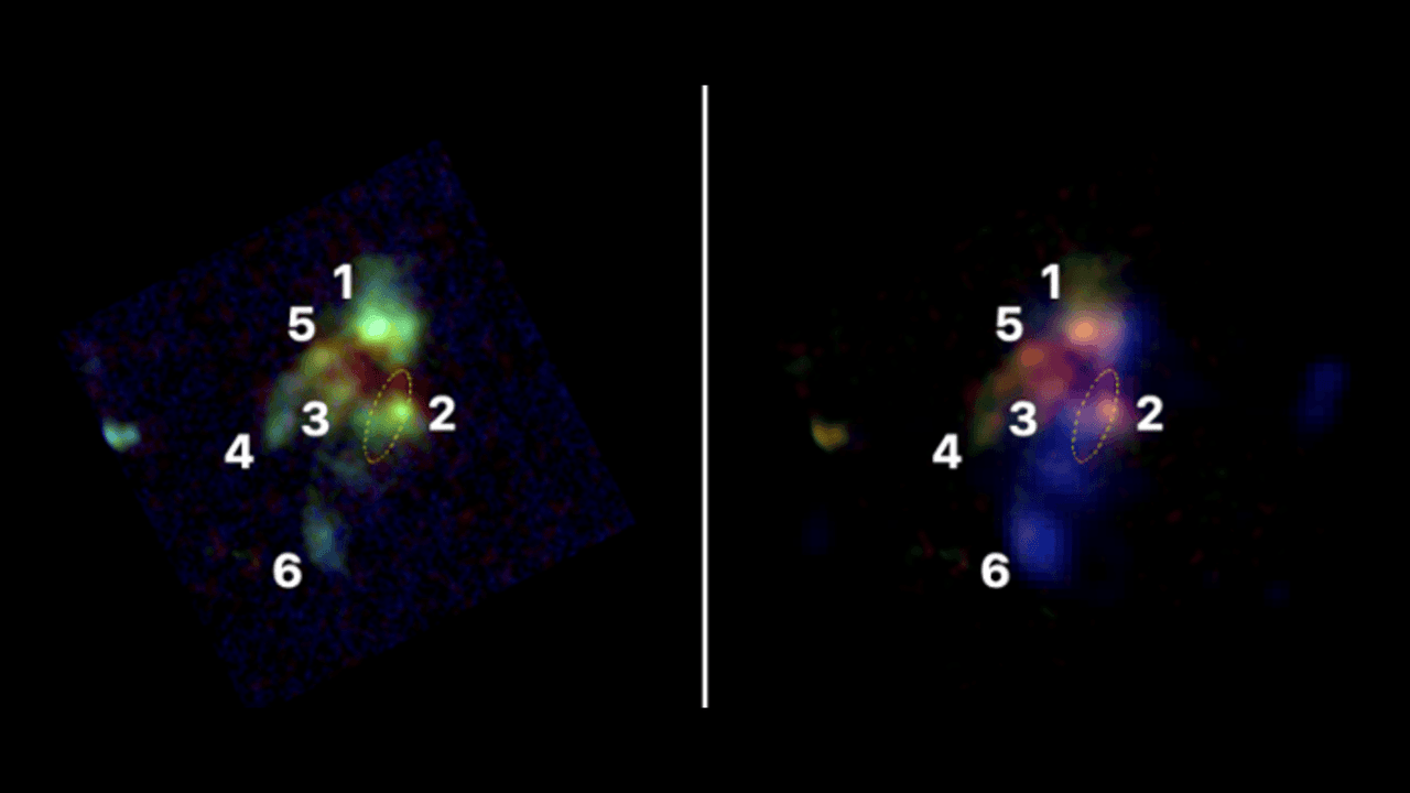 James Webb Space Telescope catches 6 galaxies merging into one of the largest galaxies in the universe