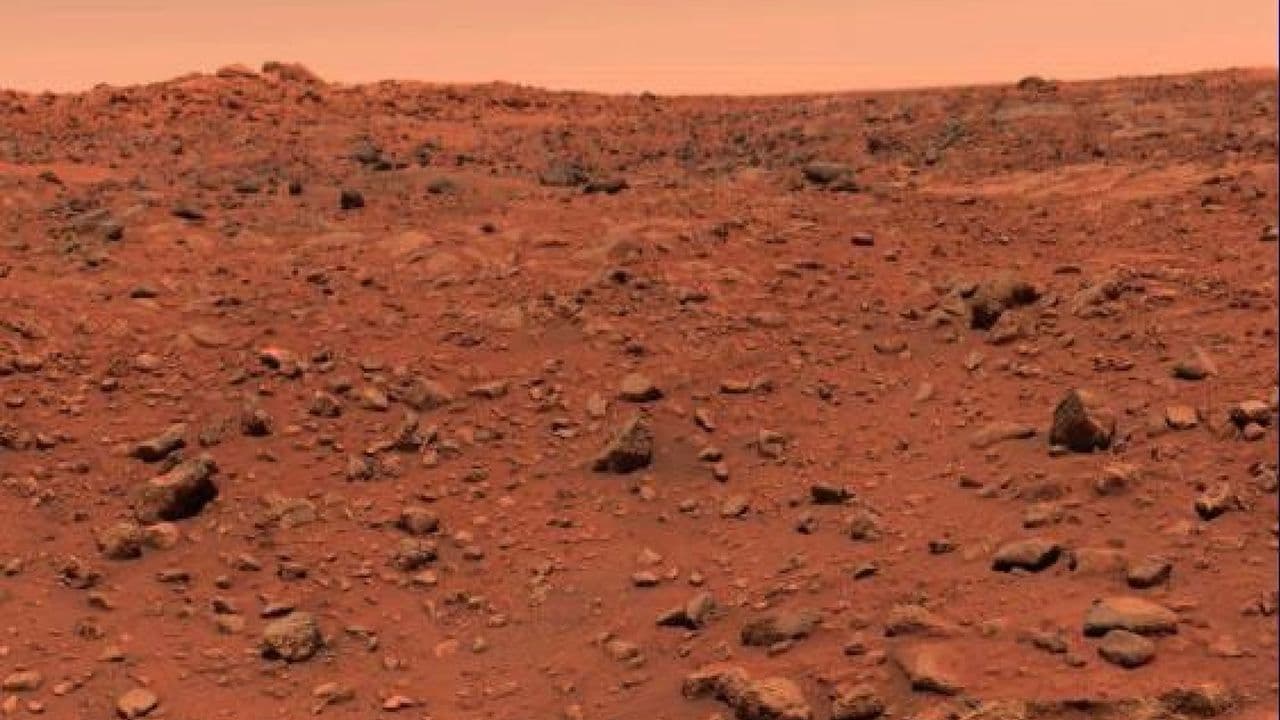 Did Viking 1 find life on Mars 50 years ago? Here's why the debate continues