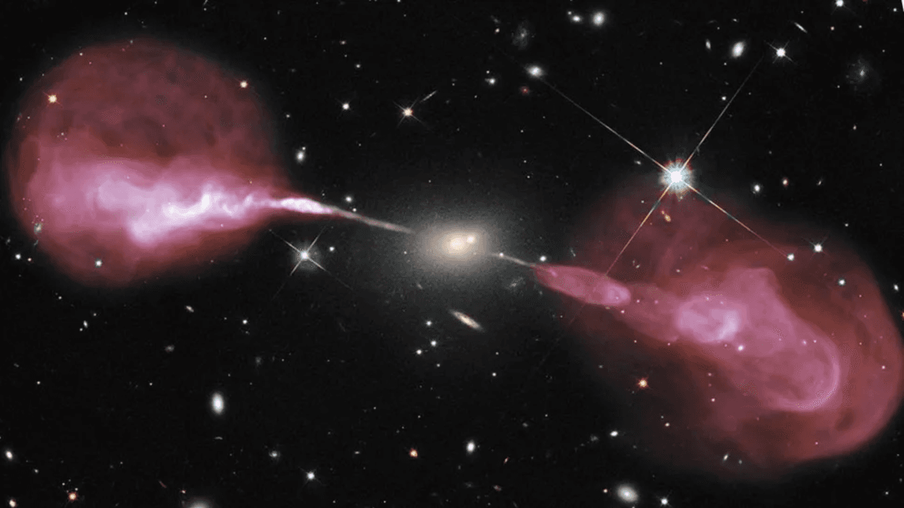 What happens when a galaxy's supermassive black hole turns off? These dying radio galaxies could show us