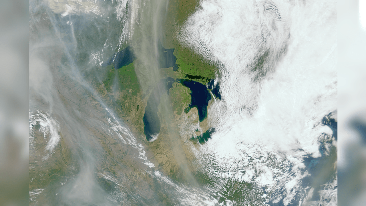 Ocean-monitoring satellite spots wildfire smoke from space | Space photo of the day for July 1, 2026