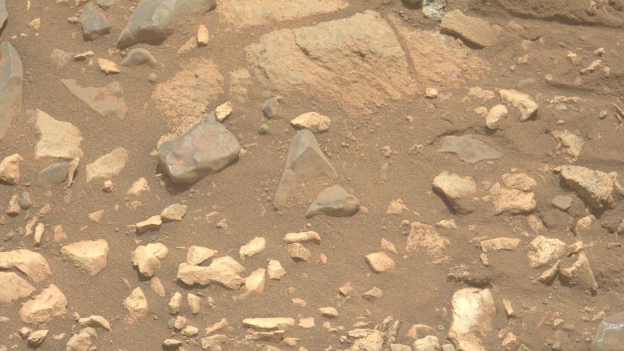 Mars dust is toxic. How will future astronauts deal with it?