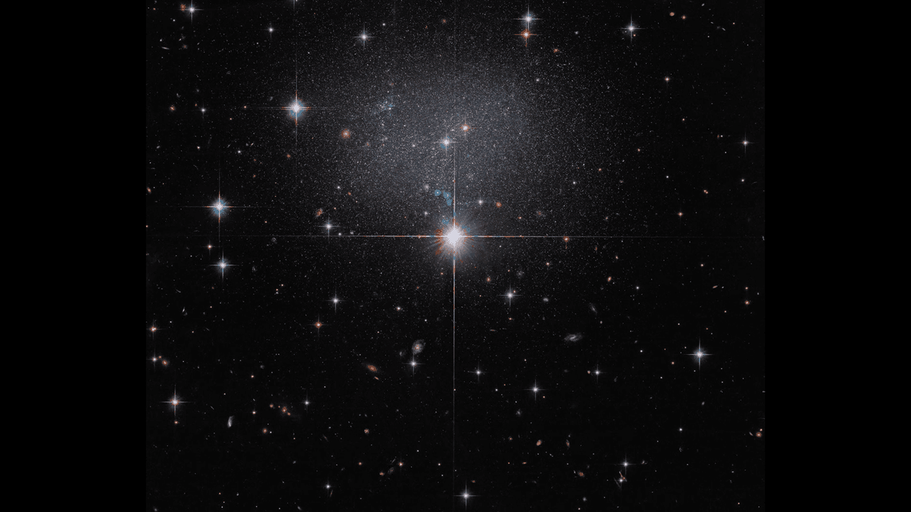 Hubble spies a swarm of stars in a strange, irregular galaxy | Space photo of the day for 15, 2026