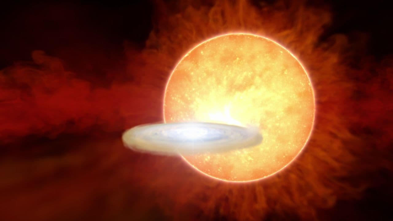 A 'new' star could finally appear in the night sky this week, thanks to a once-in-a-lifetime explosion