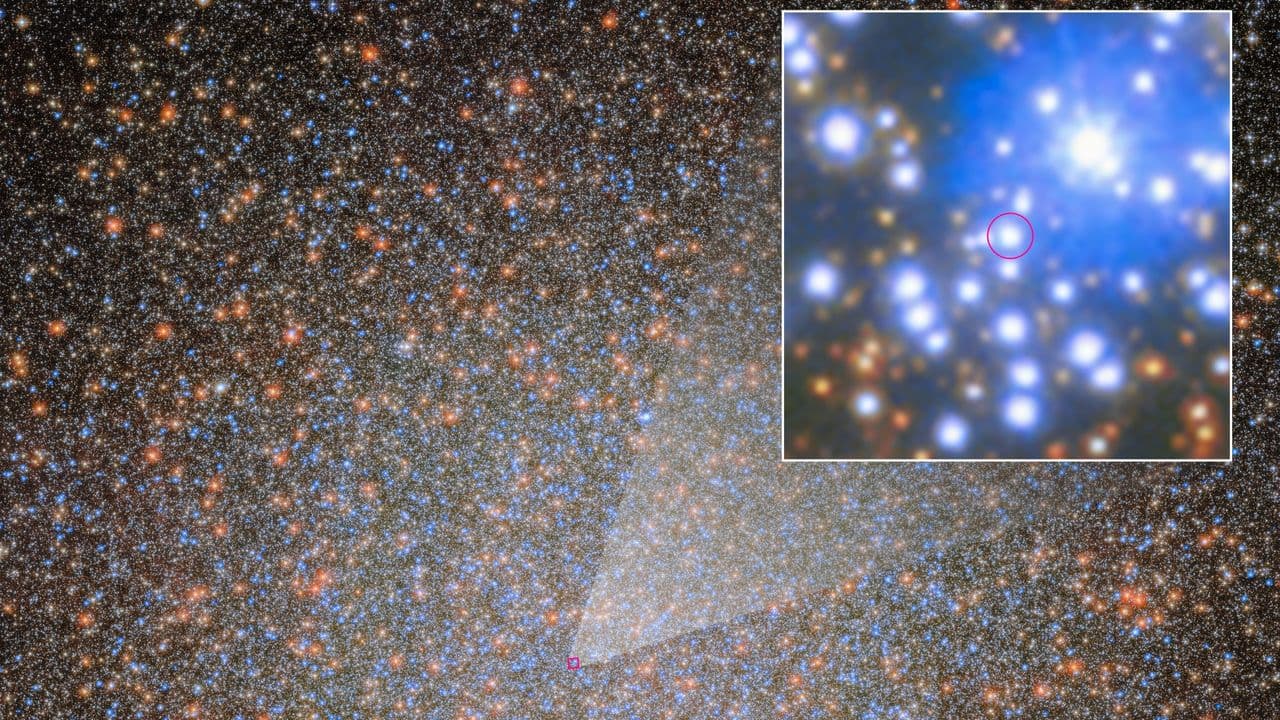 The 1st of 10,000 'missing' black holes in the Omega Centauri star cluster has been found by the Hubble and James Webb space telescopes