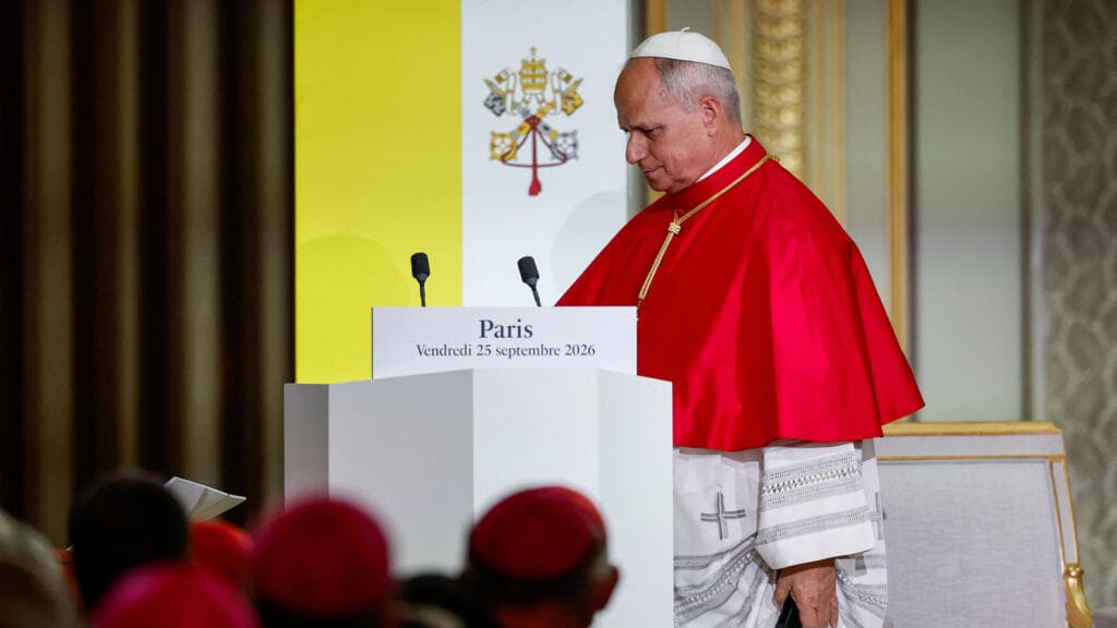 War, AI, secularism, surrogacy: what to take away from the Pope's speech