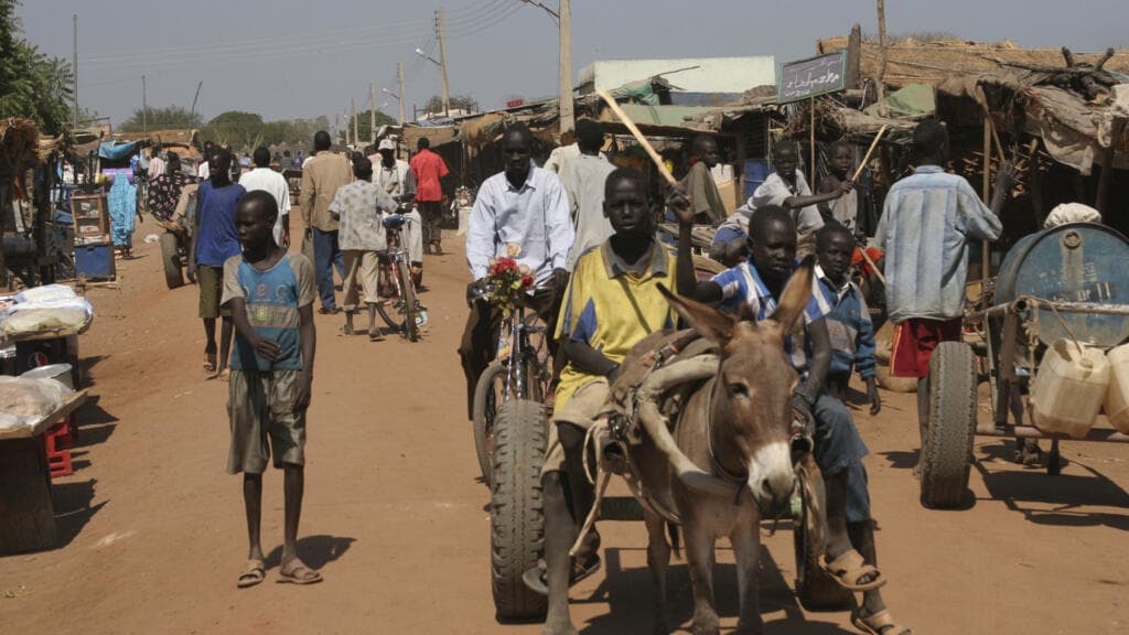 More than 150 killed in Sudan drone strike on disputed Abyei border region