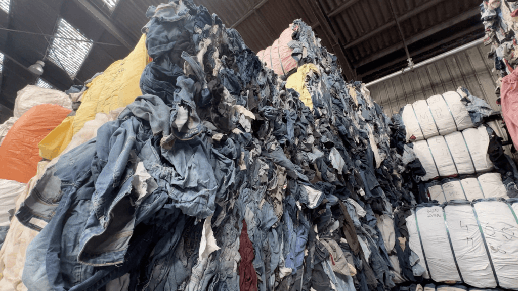 Old jeans could shield your home from the next heatwave