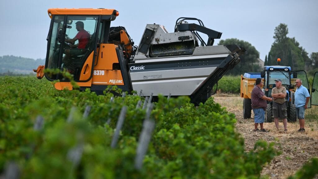 Winemakers across Europe face the challenges of climate change