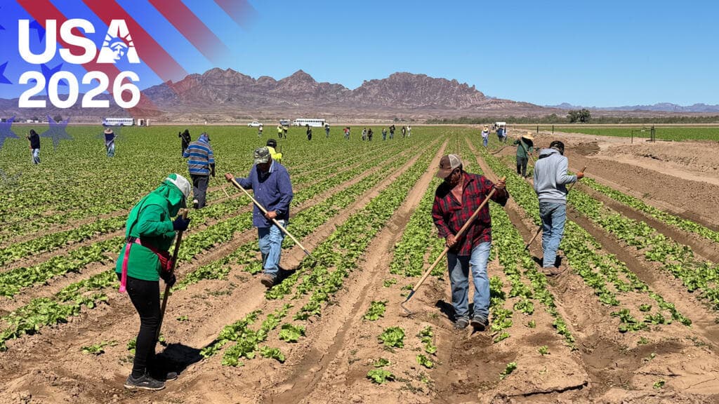 Midterms 2026: The farmers calling for more migrant workers