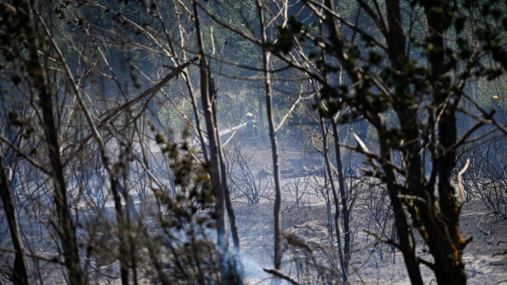 Tour de France stage under threat due to forest fires: official