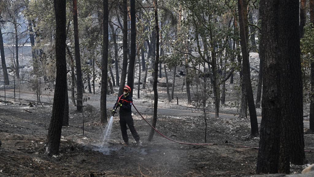 Fire reignites in Fontainebleau forest as investigation continues
