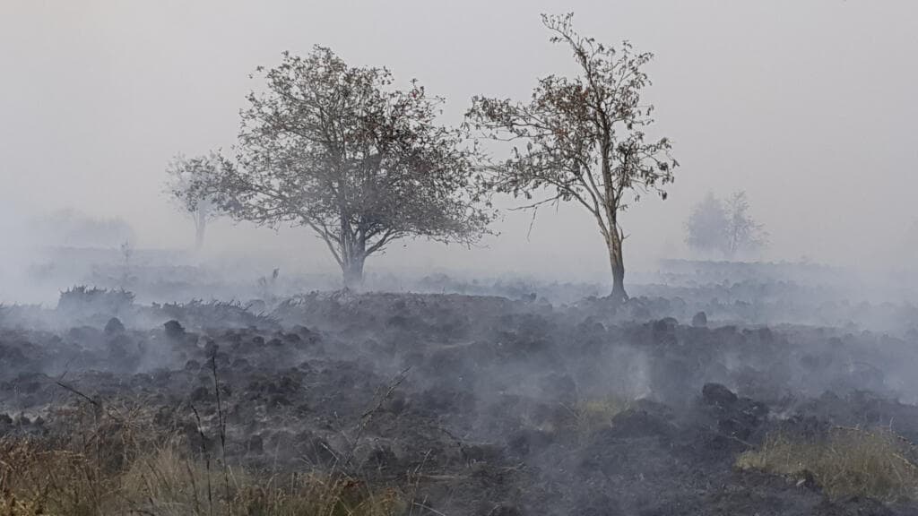 Hundreds of villagers evacuate as Belgium battles record wildfire