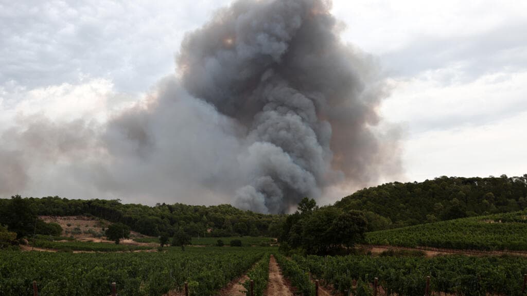 French winemakers worry about 'smoky taste' after wildfires