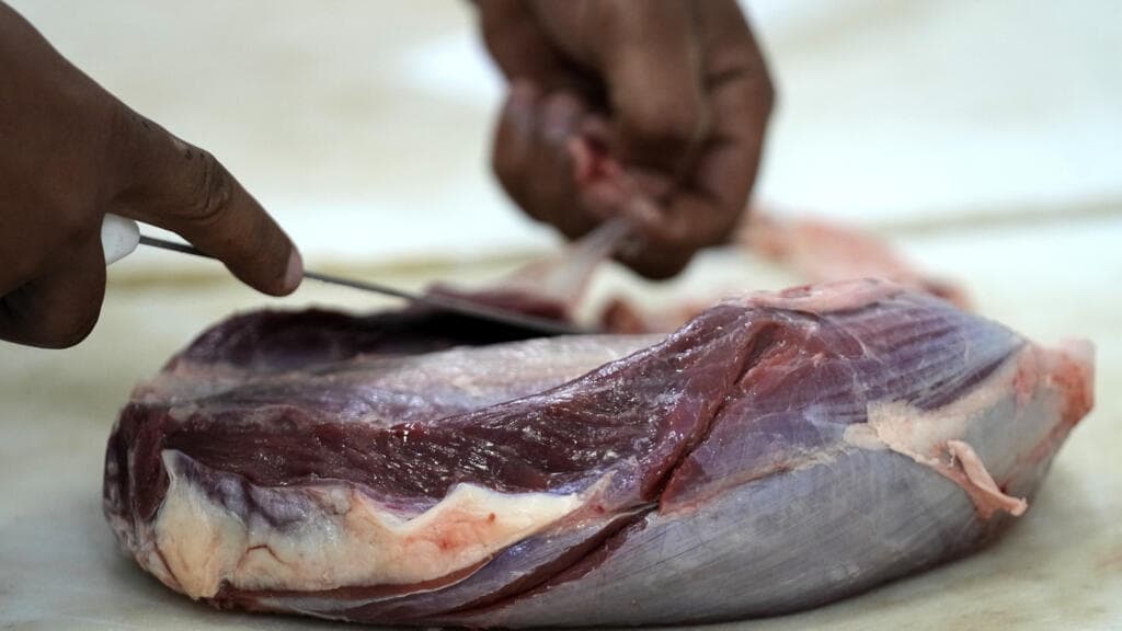 EU suspends Brazilian meat imports over antibiotic compliance concerns