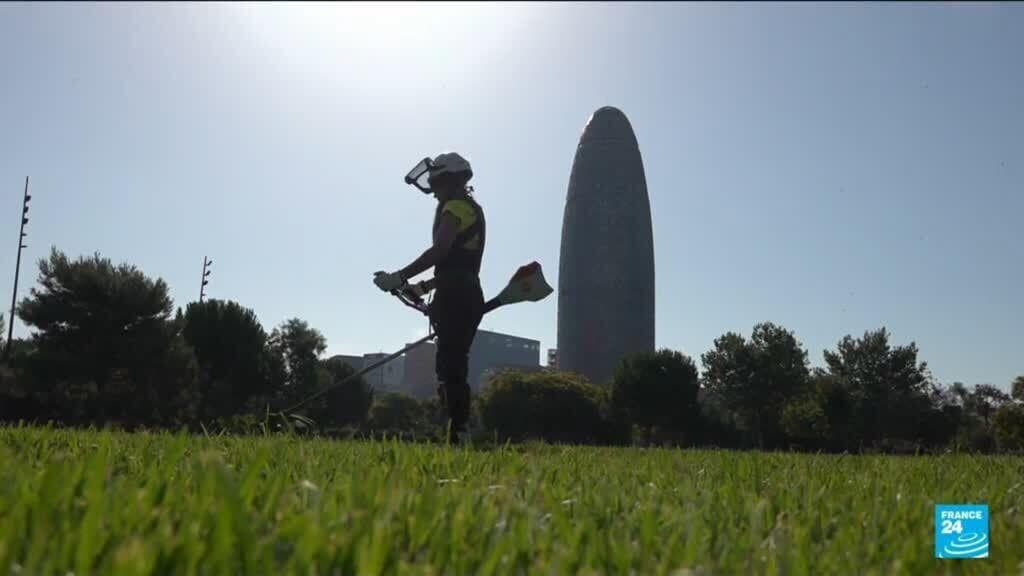 Reduced hours and 'climate leave': How Spain has adapted to heatwaves