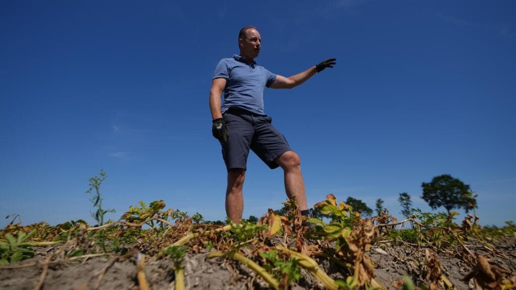 European drought shrivels crops despite farmers’ best efforts to adapt