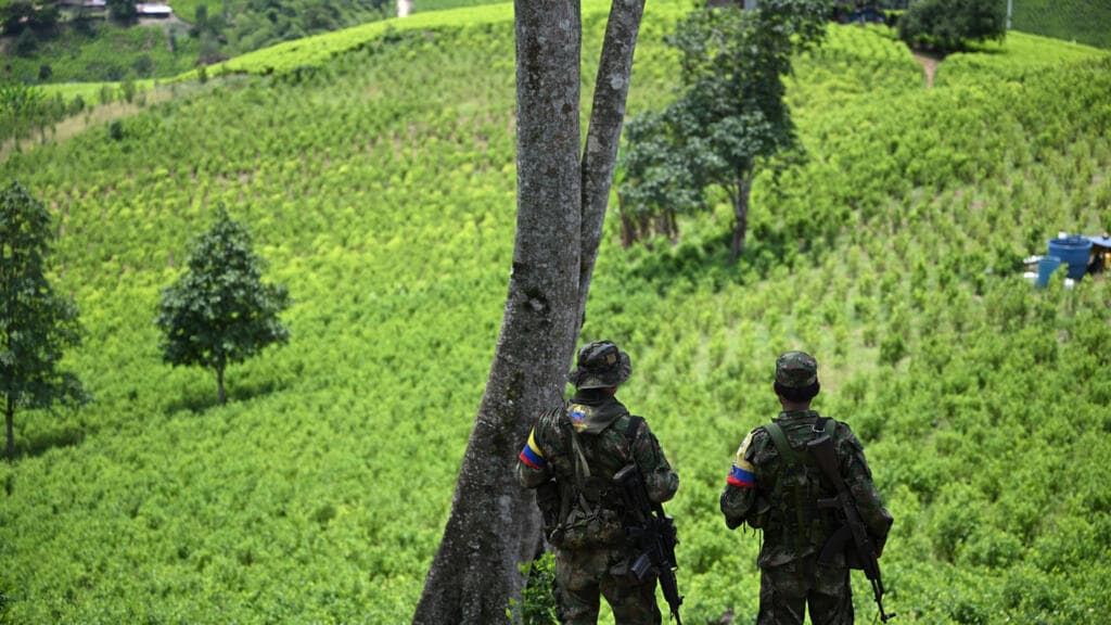 Colombian rebel group say kidnapped French Foreign Legion soldier is still alive
