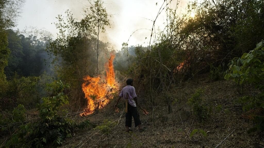 'Whenever biodiversity decays, you decay': French biologist Marc-André Selosse