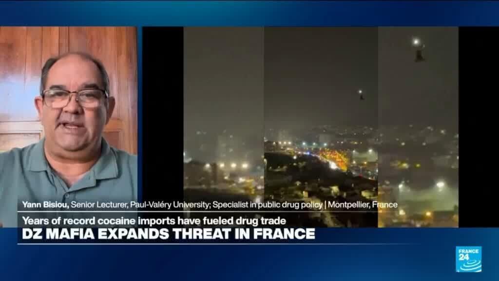 Is DZ Mafia a French drug cartel, an illicit 'brand', or a drug trafficking 'franchise'?