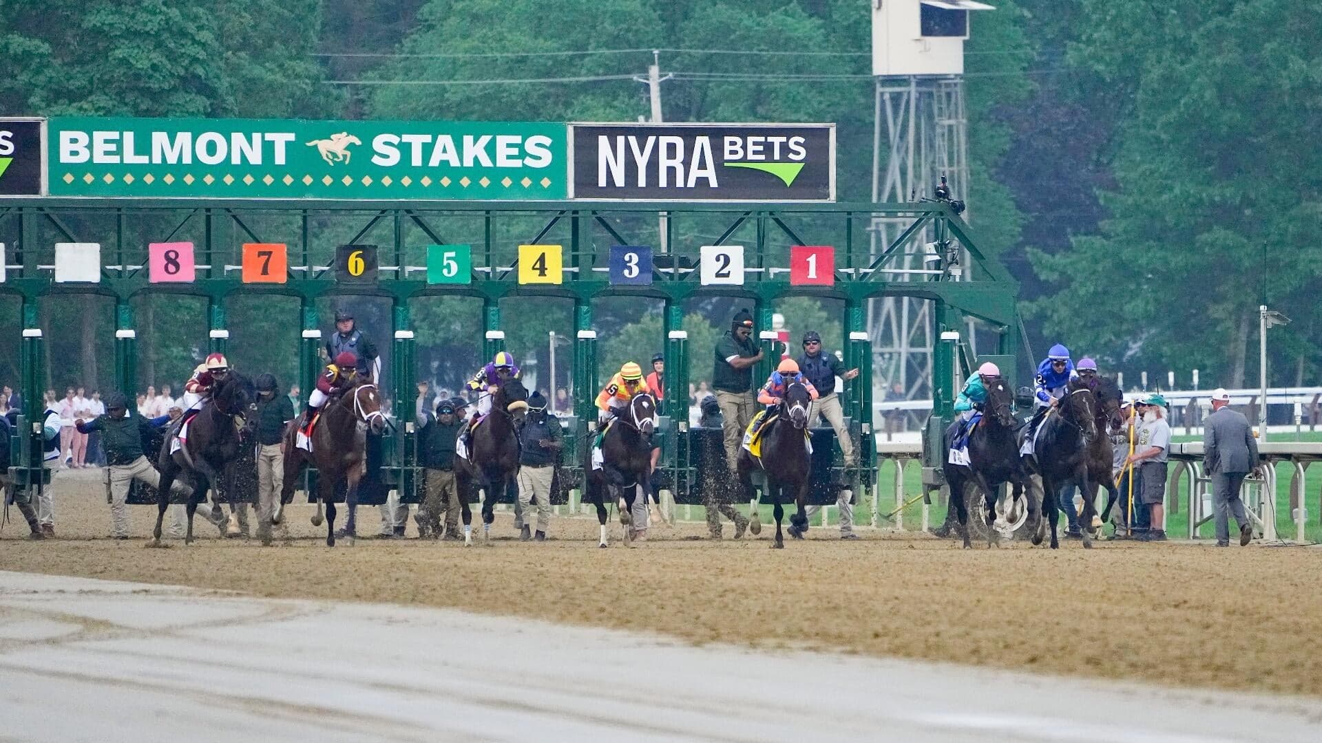 2026 Belmont Stakes odds, horses, time, predictions: Expert who called 4 of the past 8 winners makes picks