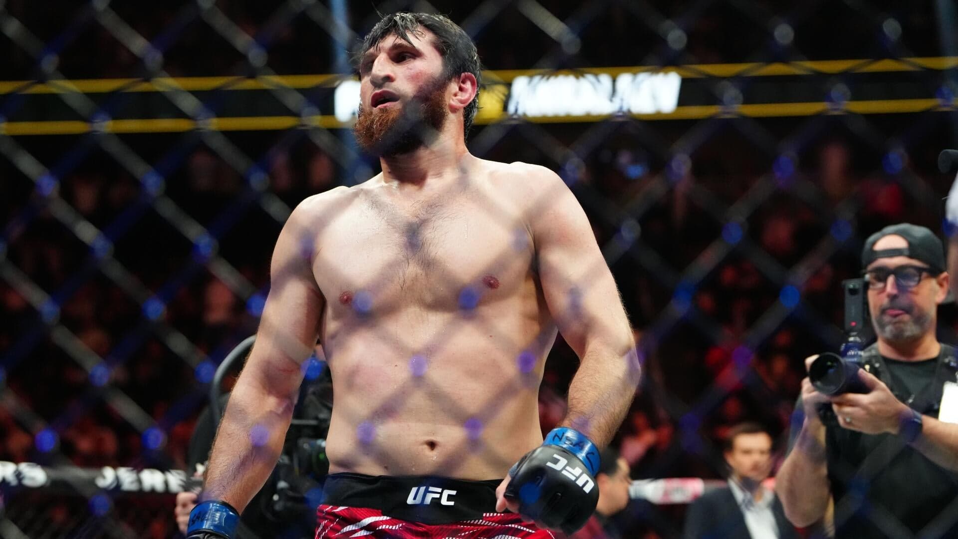 UFC Fight Night odds, predictions, time: Magomed Ankalaev vs. Bogdan Guskov picks by elite MMA expert