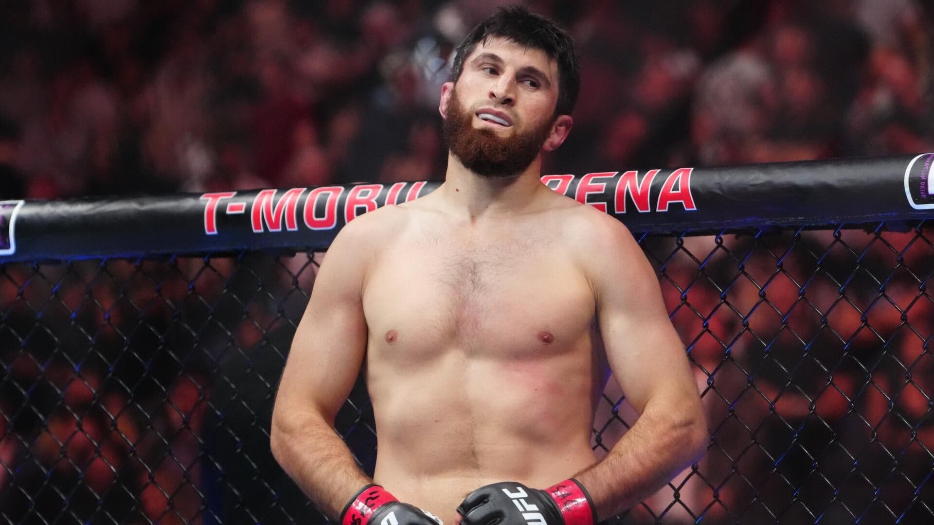 UFC Fight Night odds, predictions, time: Magomed Ankalaev vs. Bogdan Guskov picks by elite MMA expert