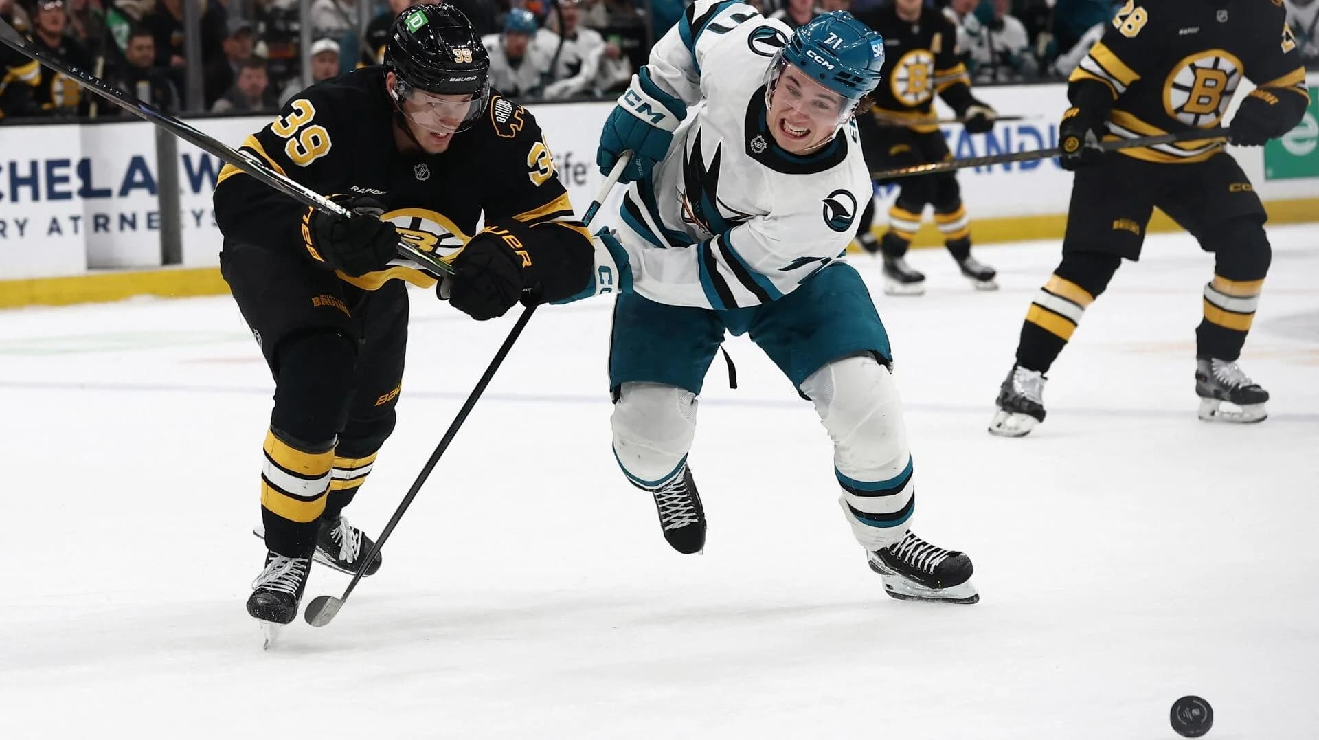 Bruins vs. Sharks NHL picks, parlay: Late-night matchup Tuesday caps 32-team Frozen Frenzy