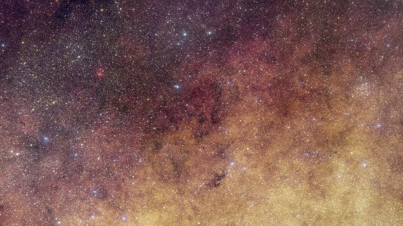 European Space Agency's Euclid captures the star-filled center of the Milky Way