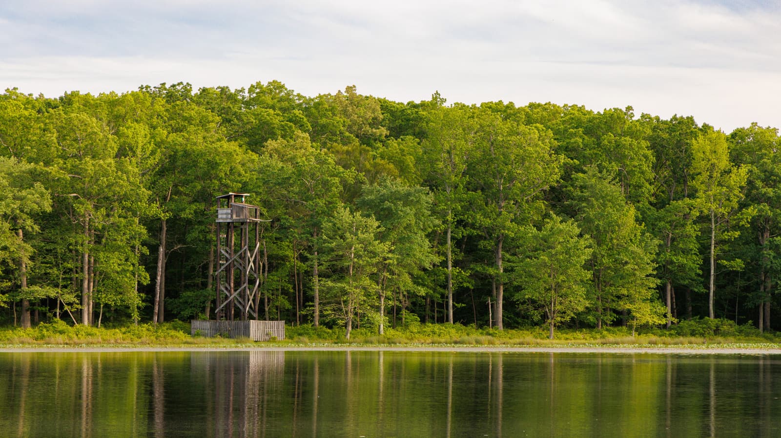 NASA transfers ownership of Maryland woodland to the US Fish and Wildlife Service